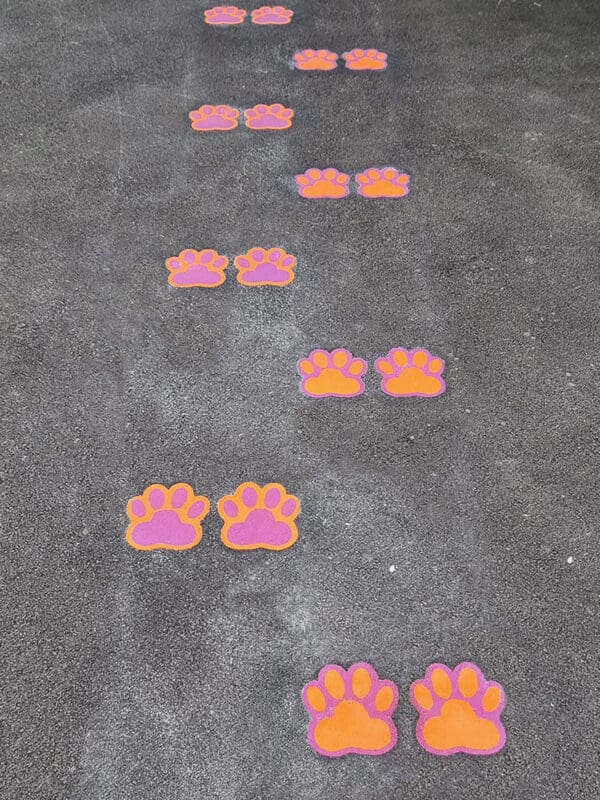 Bear-Prints-Playground-Marking