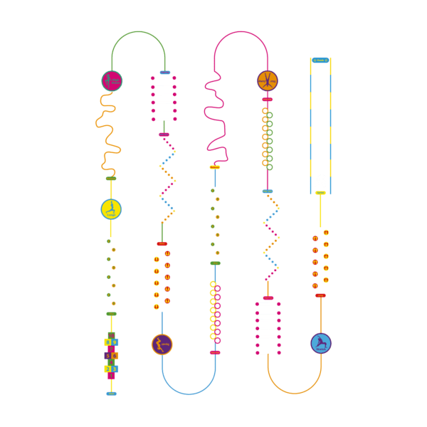 Playground-Marking-Deluxe-Fun-And-Active-Trail