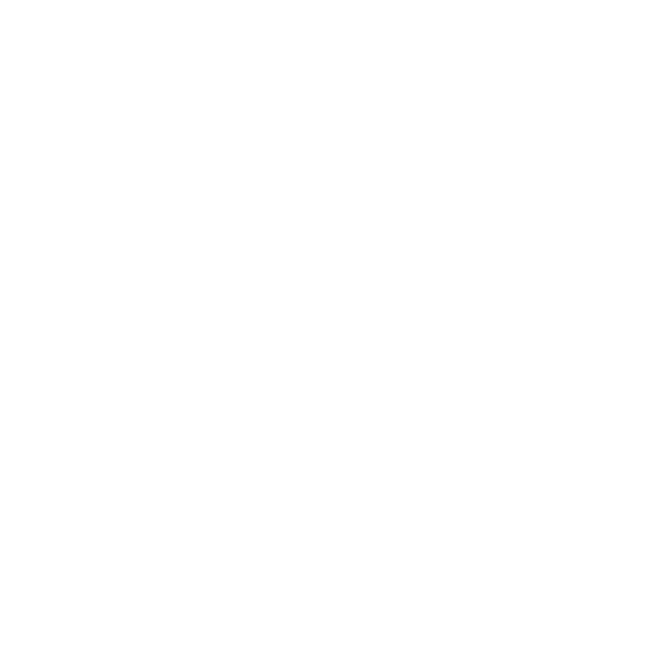 Speed Camera Sign B