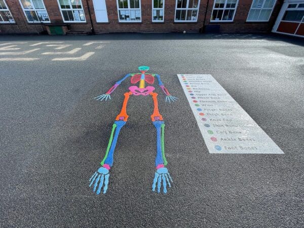 Skeleton-Playground-Marking