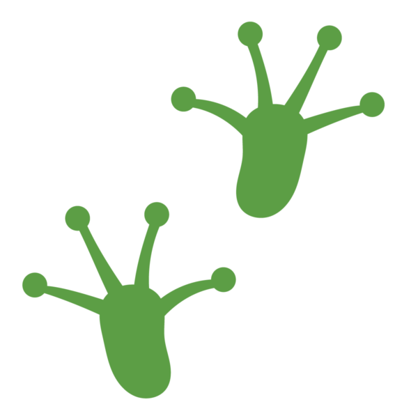 Playground Marking Frog Prints